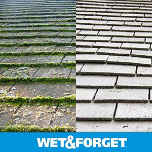 Wet & Forget Outdoor Moss, Mold, Mildew, & Algae Stain Remover Multi-Surface Cleaner, Xtreme Reach Hose End Refill, 48 Fluid Oun