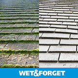 Wet & Forget Outdoor Moss, Mold, Mildew, & Algae Stain Remover Multi-Surface Cleaner, Xtreme Reach Hose End Refill, 48 Fluid Oun