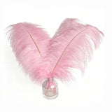 Happy Feather 16-18 inch Pink Ostrich Feathers Craft for Wedding Party Centerpieces Home Decoration DIY Craft Pack of 10