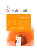 Hahnemuhle Pastel 10 Color Velour Pad 9.25x12.5 inches 260gsm 10 Sheets