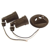 HubbellRaco 56252 Combination Weatherproof Lamp Holder, 75150 W, Par38, Metal, Bronze