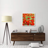 Poppies-Paper Art-32,,X32,,