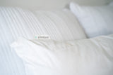Allerease 100% Breathable Cotton Pillow Protector For Sleeping, Standard 26 X 20 - 2 Pack