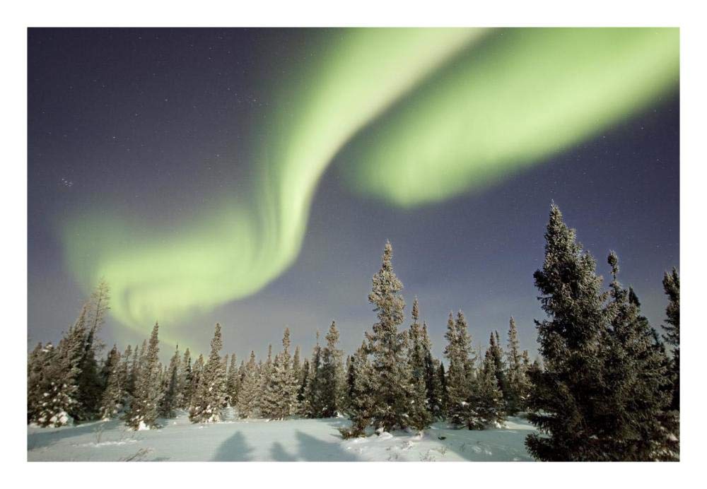 Northern Lights Or Aurora Borealis Over Boreal Forest, North America-Paper Art-26,,X18,,