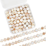 SUNNYCLUE 1 Box 4 Strands About 196Pcs Flat Round Shell Bead Natural Freshwater Shell Beads Bulk 8mm Summer Ocean Mother of Pear