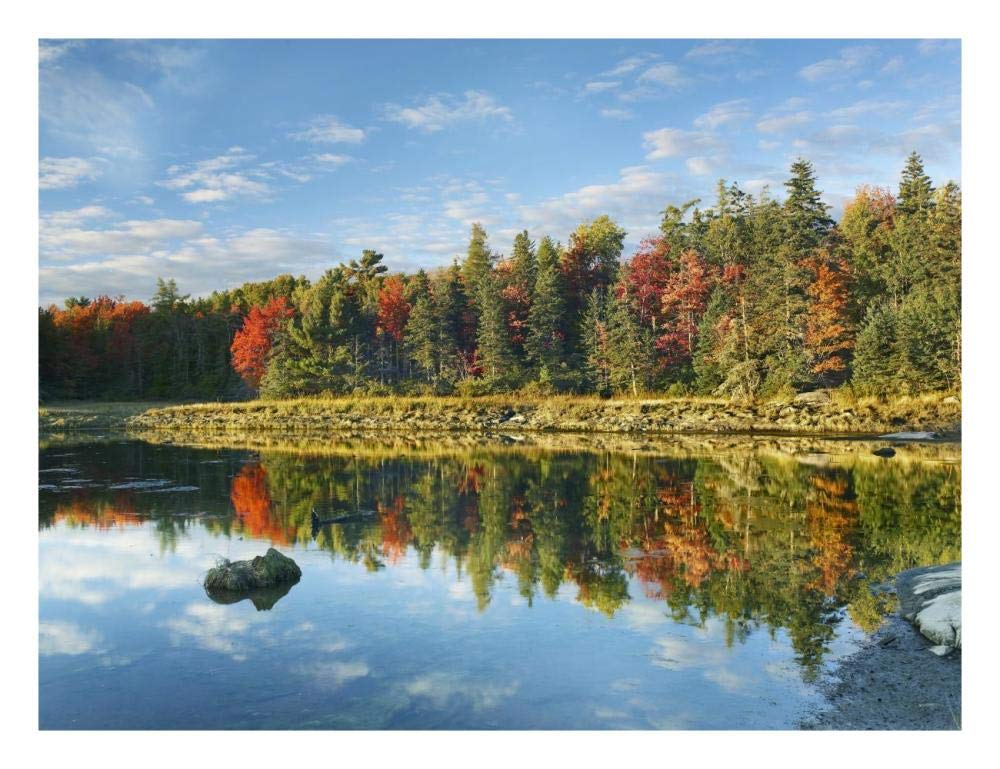 Coastline, Mount Desert Island, Maine-Paper Art-26,,X20,,