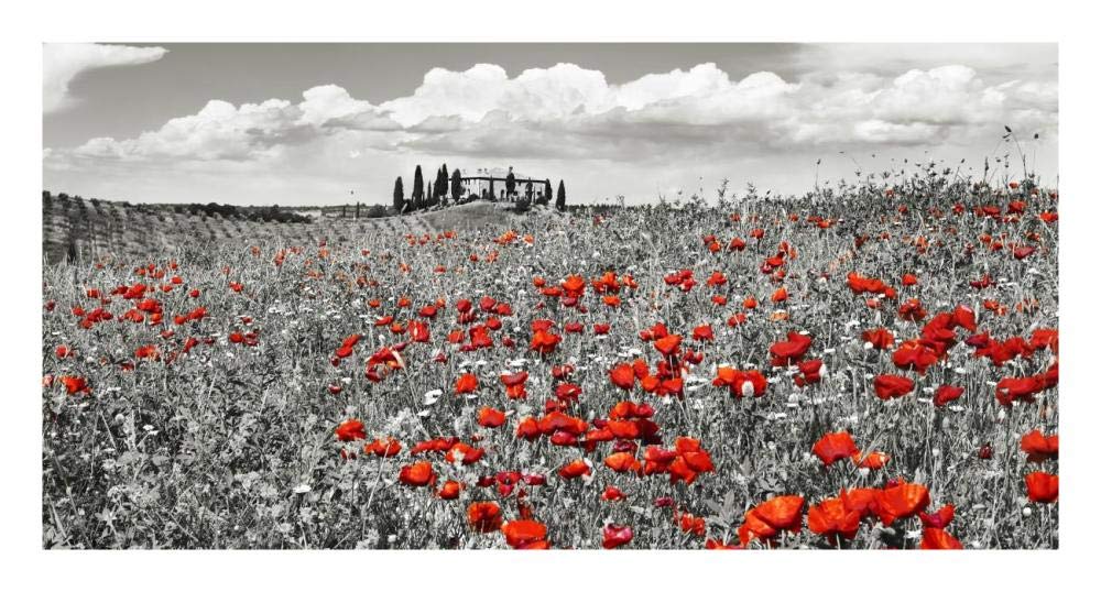 Farm House With Cypresses And Poppies, Tuscany, Italy-Paper Art-26,,X14,,