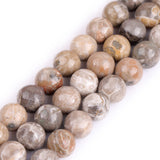 GEM-Inside Coral Fossil Gemstone Loose Beads Natural 12mm Round Chrysanthemum Crystal Energy Stone Power for Jewelry Making 15