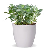 Ecofynd 5 Inches Ceramic Plant Pots, Clay Flower Pot With Drainage Hole, Decorative Modern Indoor Planters, Home Garden Decor Fo