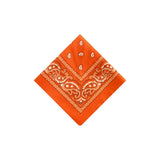 Bandanas For Men & Women, Paisley, 22 X 22 Inch Cotton