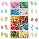 SUPERFINDINGS 120G 10 Colors Small Natural Crushed Shells Resin Filler Dyed Shells Chips Pieces Irregular Seashell Slices for Cr