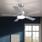 LUDOMIDE Ceiling Fan with Light, 42 Modern Low Profile Ceiling Fan with Light, DC Reversible Motor, Smart APP & Remote Control, 