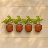 The Handicraftian Autumn Wall Planter Set Of 4 6 Inch Medium Terracotta Hanging Pots | Durable Clay Planters With Improved Dra