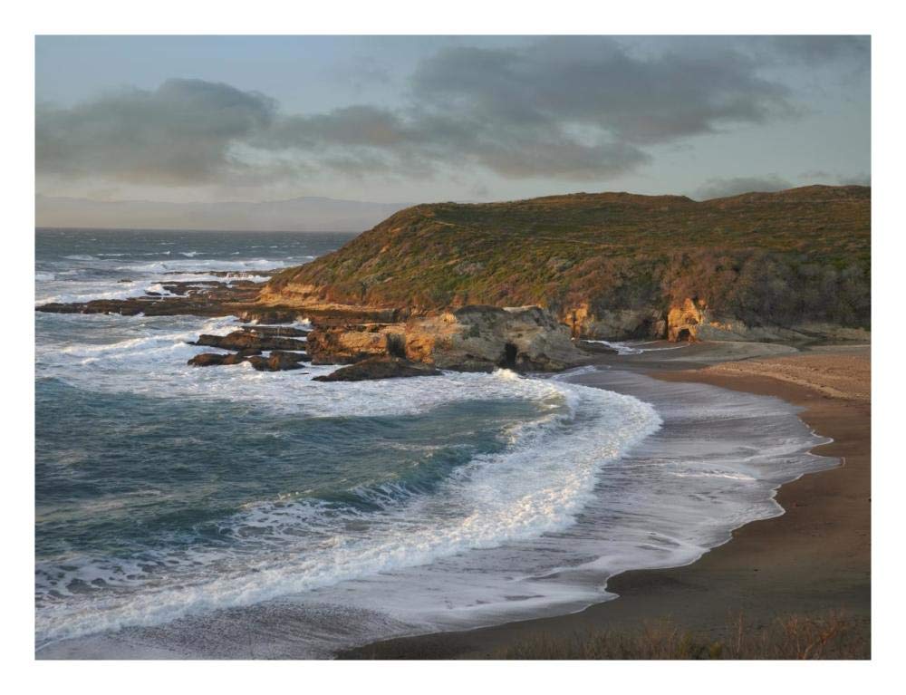 Spooners Cove, Montano De Oro State Park, California-Paper Art-26,,X20,,