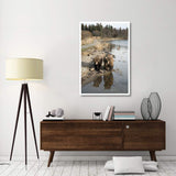 Grizzly Bear Mother And Yearling Walking Along River, Katmai National Park, Alaska-Paper Art-34,,X50,,