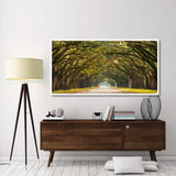 Path Lined With Oak Trees-Paper Art-74,,X38,,