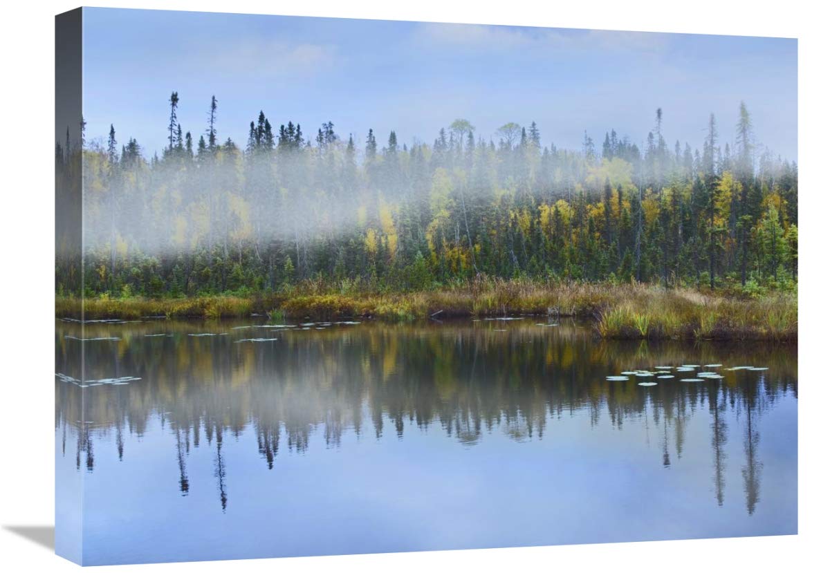 Fog Over Lake, Ontario, Canada-Canvas Art-24X18