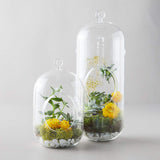 Uhd Crystal Glass Hanging Planter Capsule Shape Terrarium, Indoor Gardening, Hanging Glass Capsule Set Of 2 (1 Piece 6 Capsule 