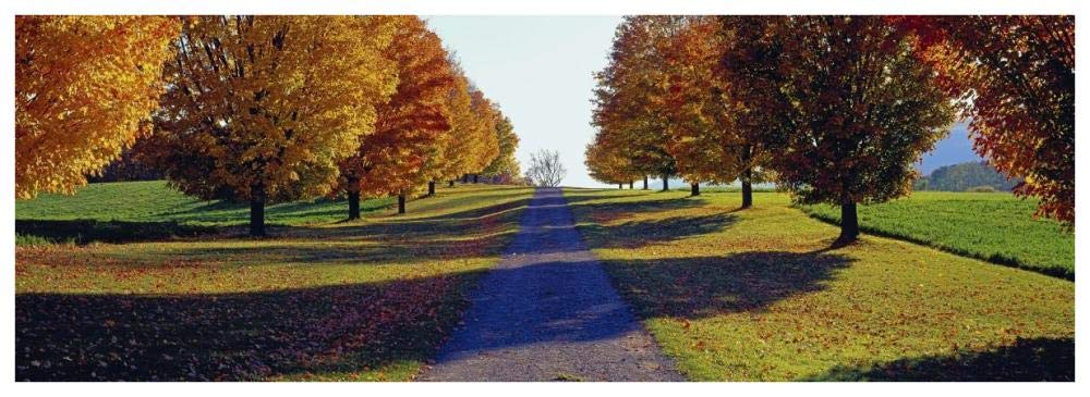 Autumn Road, Storm King Mountain, New York-Paper Art-74,,X26,,