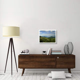 Rhododendron Tree Flowering At Craggy Gardens, Blue Ridge Parkway, North Carolina-Paper Art-26,,X20,,