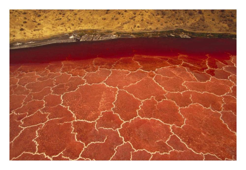 Soda Formations On The Surface Of Lake Natron, Tanzania, East Africa-Paper Art-26,,X18,,