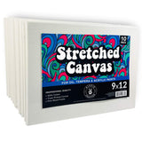 10 Pack Stretched Canvases for Painting, 9x12 Blank Rectangle Canvas Boards, Ideal for Acrylic, Oil, and Mixed Media Art, Small 