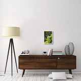 Emerald Toucanet, Costa Rica-Paper Art-14X20