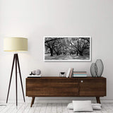Avenue Of Oaks, South Carolina-Paper Art-50,,X26,,