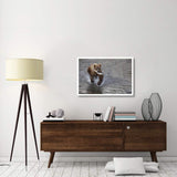 Grizzly Bear Young Male With Sockeye Salmon Prey Along Brooks River, Katmai National Park, Alaska-Paper Art-38,,X26,,