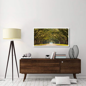 Path Lined With Oak Trees-Paper Art-50,,X26,,