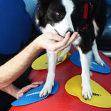 FitPAWS Dog Training Targets 10, Set of 4 | Dog Exercise Equipment for Fitness & Rehabilitation