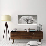 Lime Tree With Frost, Bavaria, Germany-Paper Art-50,,X26,,