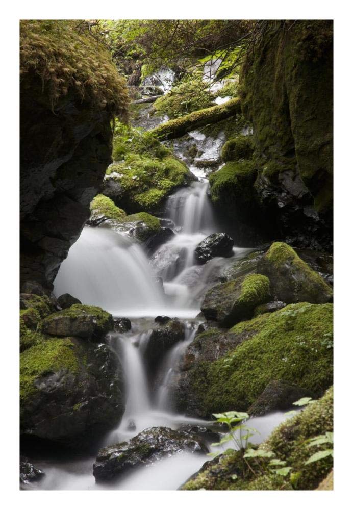 Cascading Creek In Temperate Rainforest Interior, Sitka, Alaska-Paper Art-18,,X26,,