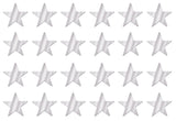 Beistle 24 Piece Silver Metallic Plastic Star Cut Outs For Weddings Birthday Party Supplies Classroom Decorations, 12