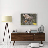 Bobcat Mother And Kitten In Snowfall, North America-Paper Art-42,,X32,,