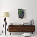 Black Bear Cub Leaning Against Tree, Orr, Minnesota-Paper Art-26,,X38,,