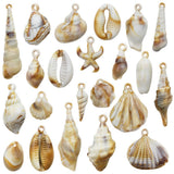 Kinteshun 44pcs Artificial Seashell Conch Bracelet Bead Charm Pendant for DIY Jewelry Making Findings (Acrylic)