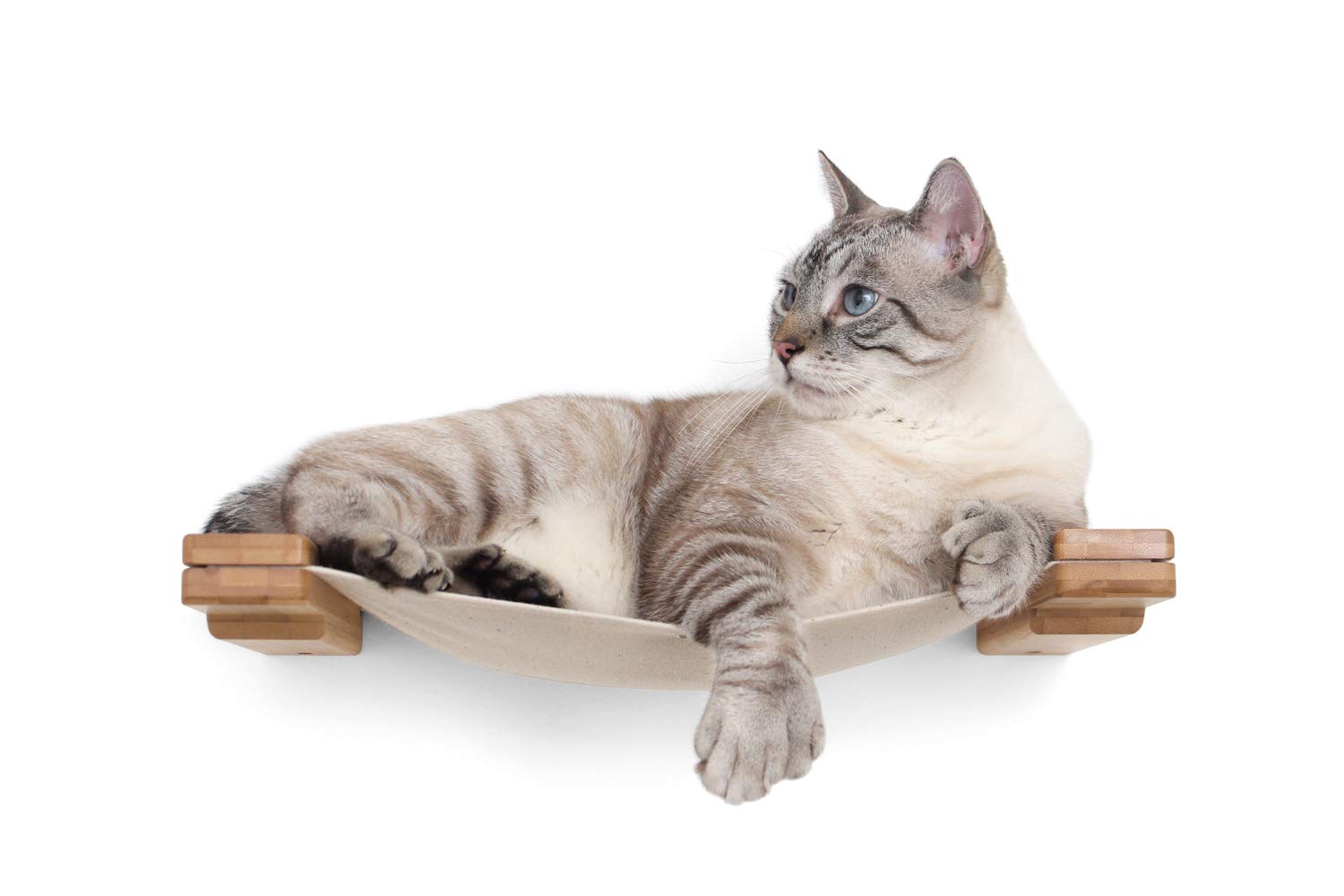 CatastrophiCreations Cat Lounge Hammock Wall Mounted Lounger for Climb and Play Furniture Cat Tree Shelves