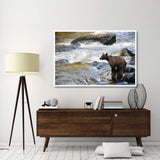 Grizzly Bear Fishing Along Anan Creek, Tongass National Forest, Alaska-Paper Art-62,,X42,,