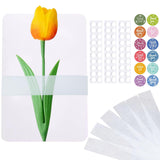 50 Pcs Wedding Invitation Accessories Translucent Vellum Belly Band for 5 x 7 Invitations, Invitation Belly Bands Vellum Wrap fo