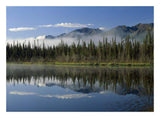 Boreal Forest Along Lake Edge, Nutzotin Mountains, Alaska-Paper Art-26,,X20,,