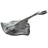 Safari Ltd. Common Stingray Figurine - Lifelike 7 Model Figure - Educational Toy for Boys, Girls, and Kids Ages 3+