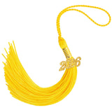 Graduation Tassel 2026, Graduation Tassel Gold 2026 Grad Cap Tassels for Graduate Cap Hat Decorations with 2026 Year Gold Charm 