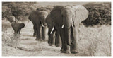 Herd Of African Elephants, Kenya-Paper Art-62,,X32,,