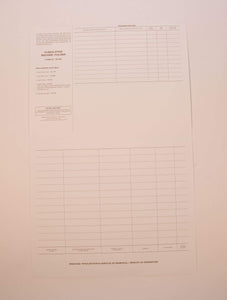 Hammond & Stephens Cumulative Record Folder - Grades K - 12, 18-5/8 L x 11-7/8 W in, 1/2 in Expansion, Pack of 25