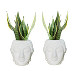 Bianco Buddha Pot Plastic White Flower Pot/Plant Pots For Home Decor, Washroom And Office Decor (Set Of 2)
