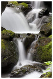 Cascading Creek In Temperate Rainforest Interior, Sitka, Alaska-Paper Art-42,,X62,,