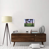Cabbage Palm Meadow, Myakka River State Park, Florida-Canvas Art-24X18