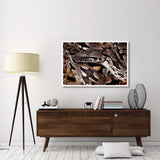 Madagascar Ground Boa Madagascar-Paper Art-50,,X34,,