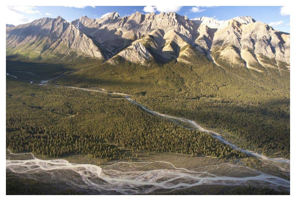 Mountains Above Coral Creek And Cline River, Jasper National Park, Alberta, Canada-Paper Art-50,,X34,,